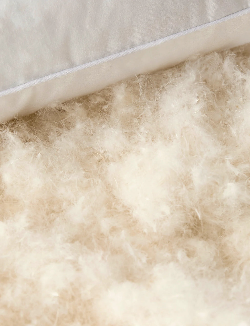 Everyday Down Pillow Insert