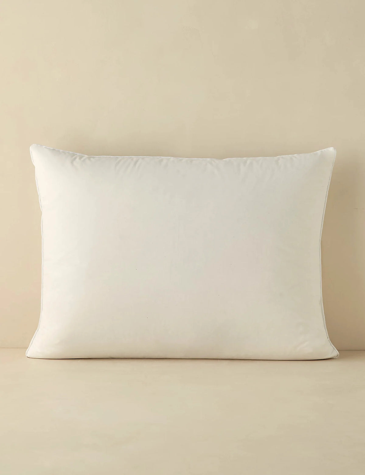 Second product view of a euro size down pillow insert