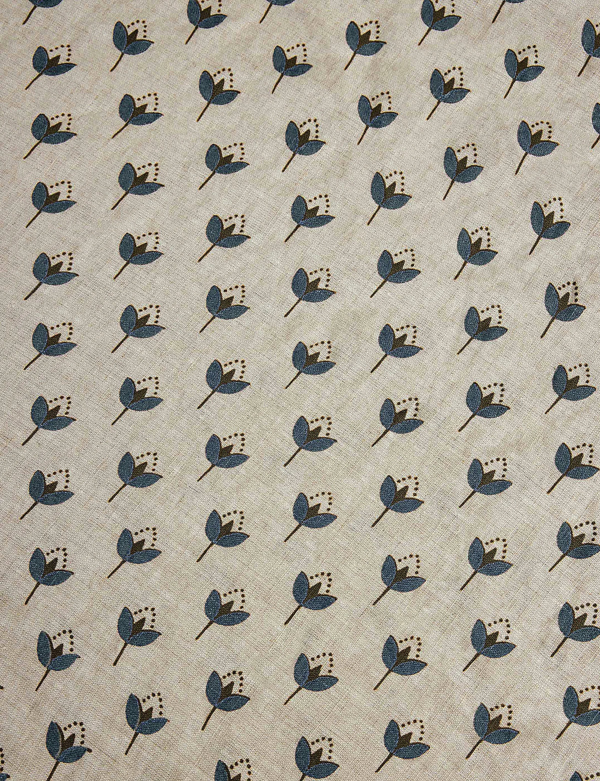 Poiret ® Shams