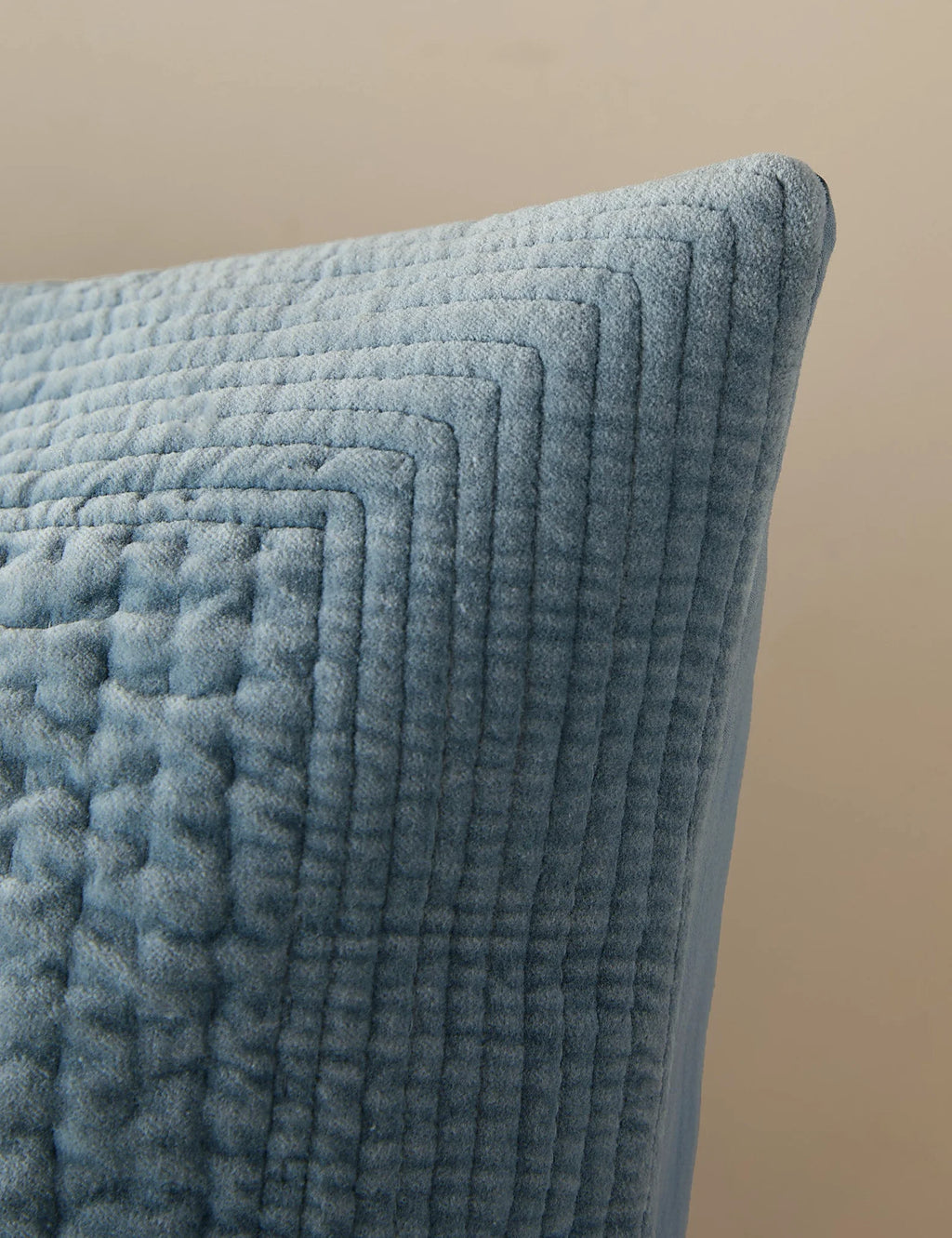 Bloomfield Velvet Sham
